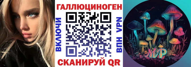 маркетплейс наркотические препараты KRAKEN ССЫЛКА Псилоцибиновые грибы Psilocybine cubensis Каменск-Шахтинский как найти наркотики