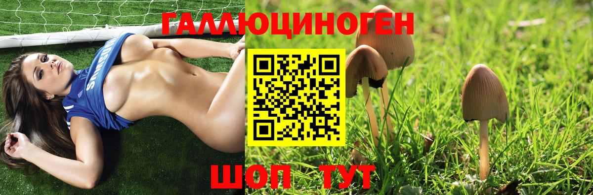 Псилоцибиновые грибы Magic Shrooms  Вход с VPN  Каменск-Шахтинский 